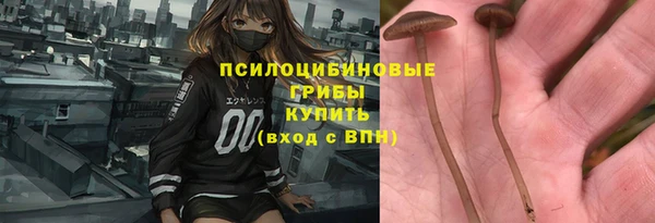 мяу мяу мука Аркадак