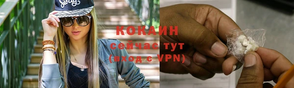 спайс Арсеньев