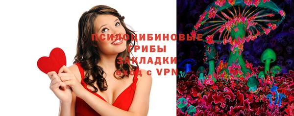 мяу мяу мука Аркадак