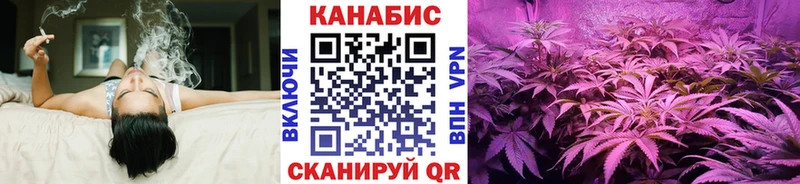 где найти наркотики  Ижевск  Канабис сатива 